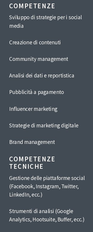 social media manager cv competenze